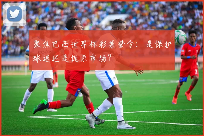 聚焦巴西世界杯彩票禁令：是保护球迷还是扼杀市场？