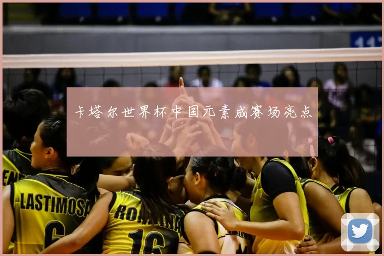 卡塔尔世界杯中国元素成赛场亮点