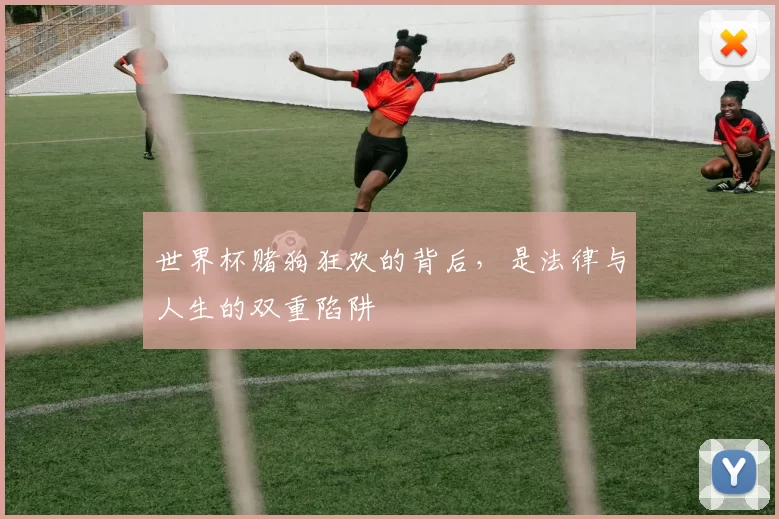 世界杯赌狗狂欢的背后，是法律与人生的双重陷阱