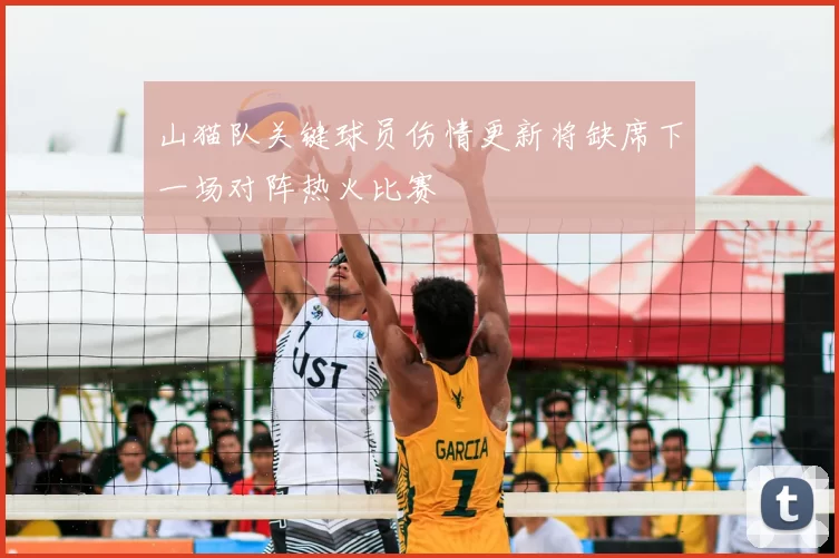 山猫队关键球员伤情更新将缺席下一场对阵热火比赛