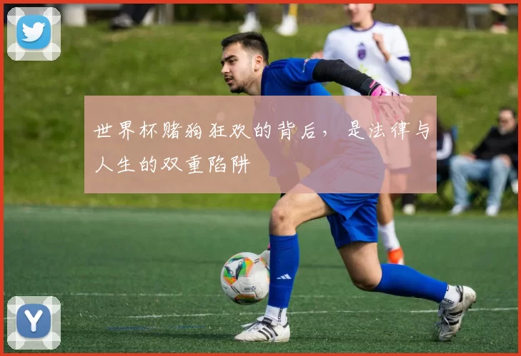 世界杯赌狗狂欢的背后，是法律与人生的双重陷阱