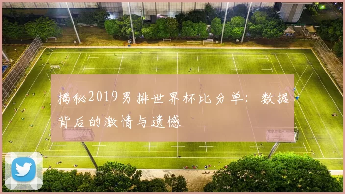 揭秘2019男排世界杯比分单：数据背后的激情与遗憾