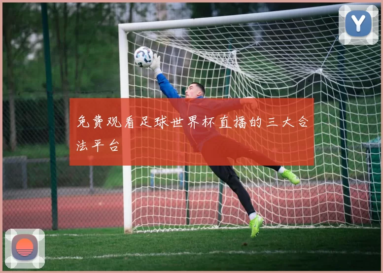 免费观看足球世界杯直播的三大合法平台