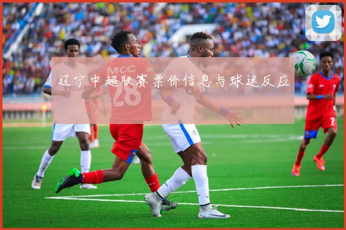辽宁中超联赛票价信息与球迷反应