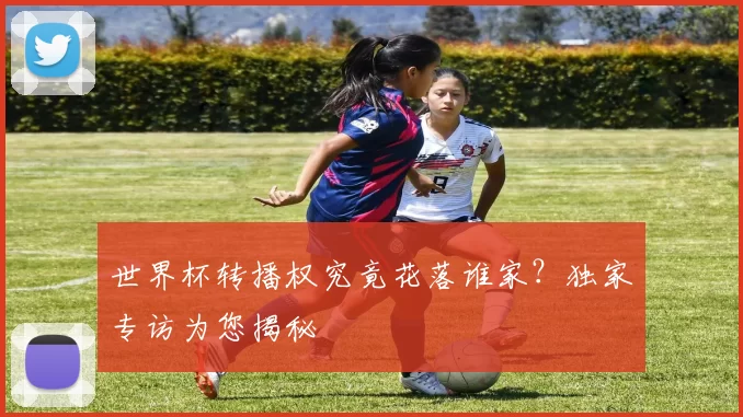 世界杯转播权究竟花落谁家？独家专访为您揭秘