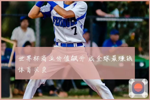 世界杯商业价值飙升 成全球最赚钱体育买卖