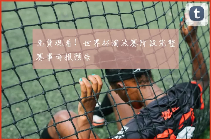 免费观看！世界杯淘汰赛阶段完整赛事海报预告